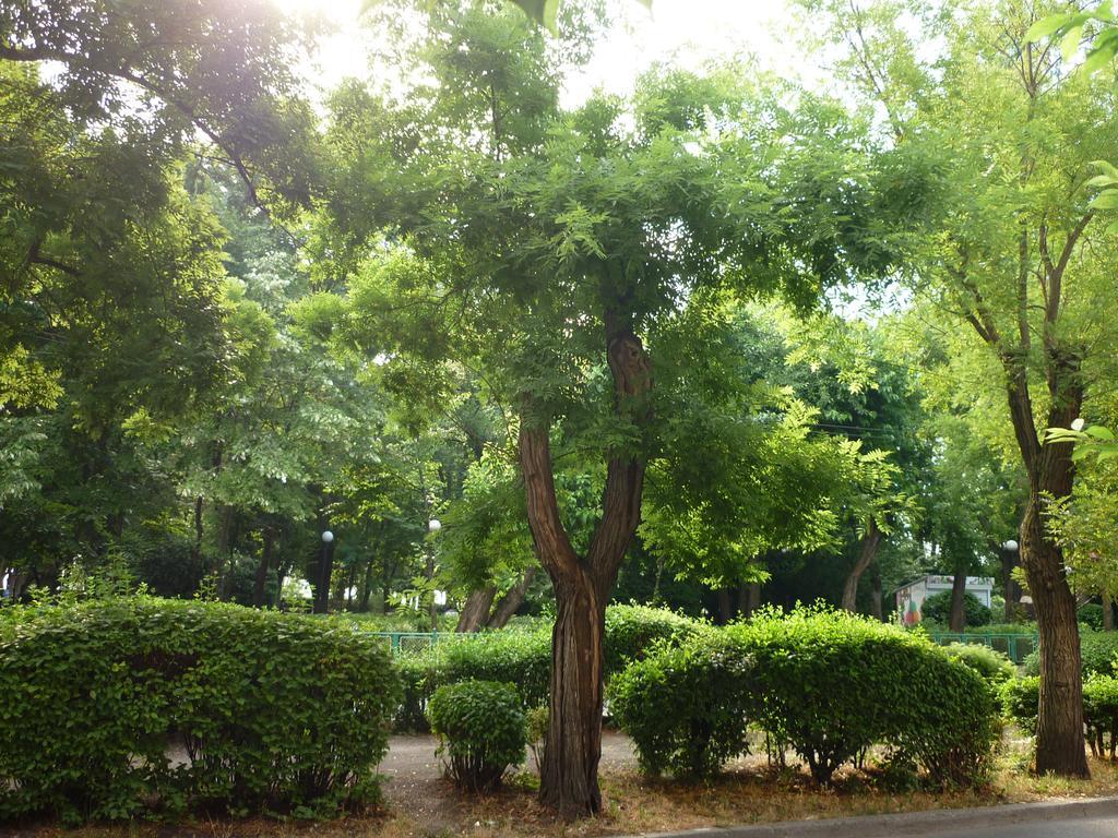 Sea Garden Plaza Apartment - Free Parking Burgas Quarto foto