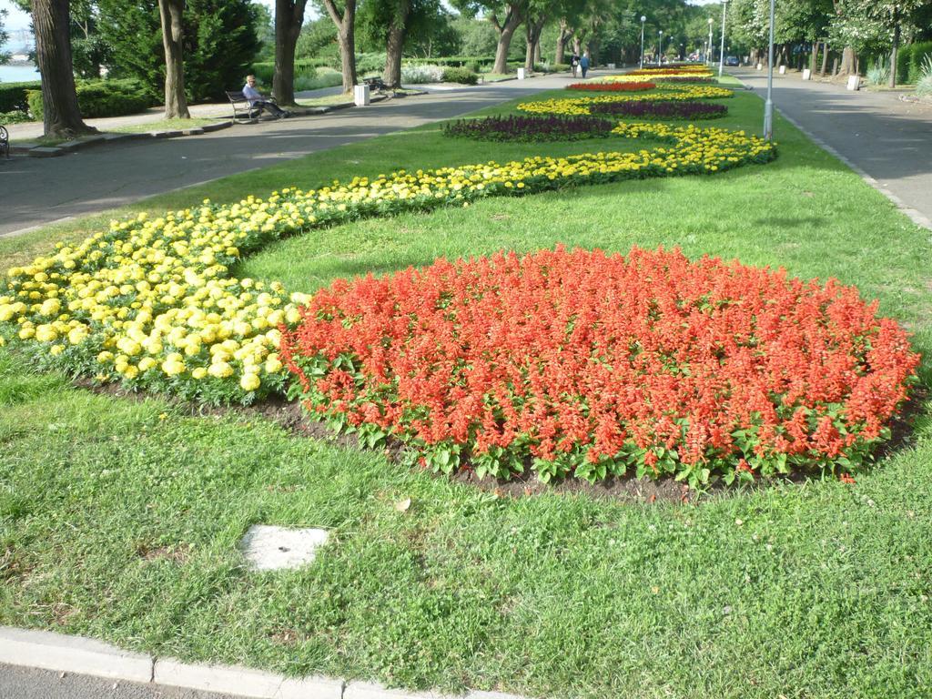 Sea Garden Plaza Apartment - Free Parking Burgas Quarto foto